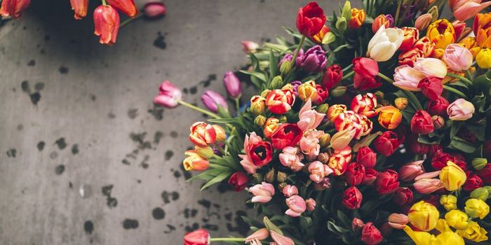 Как правильно выбрать цветы