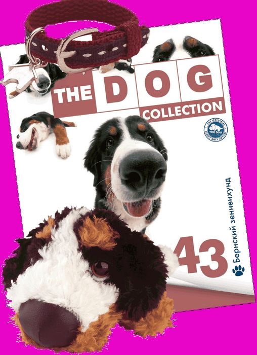 The dog collection №47 - чаучау